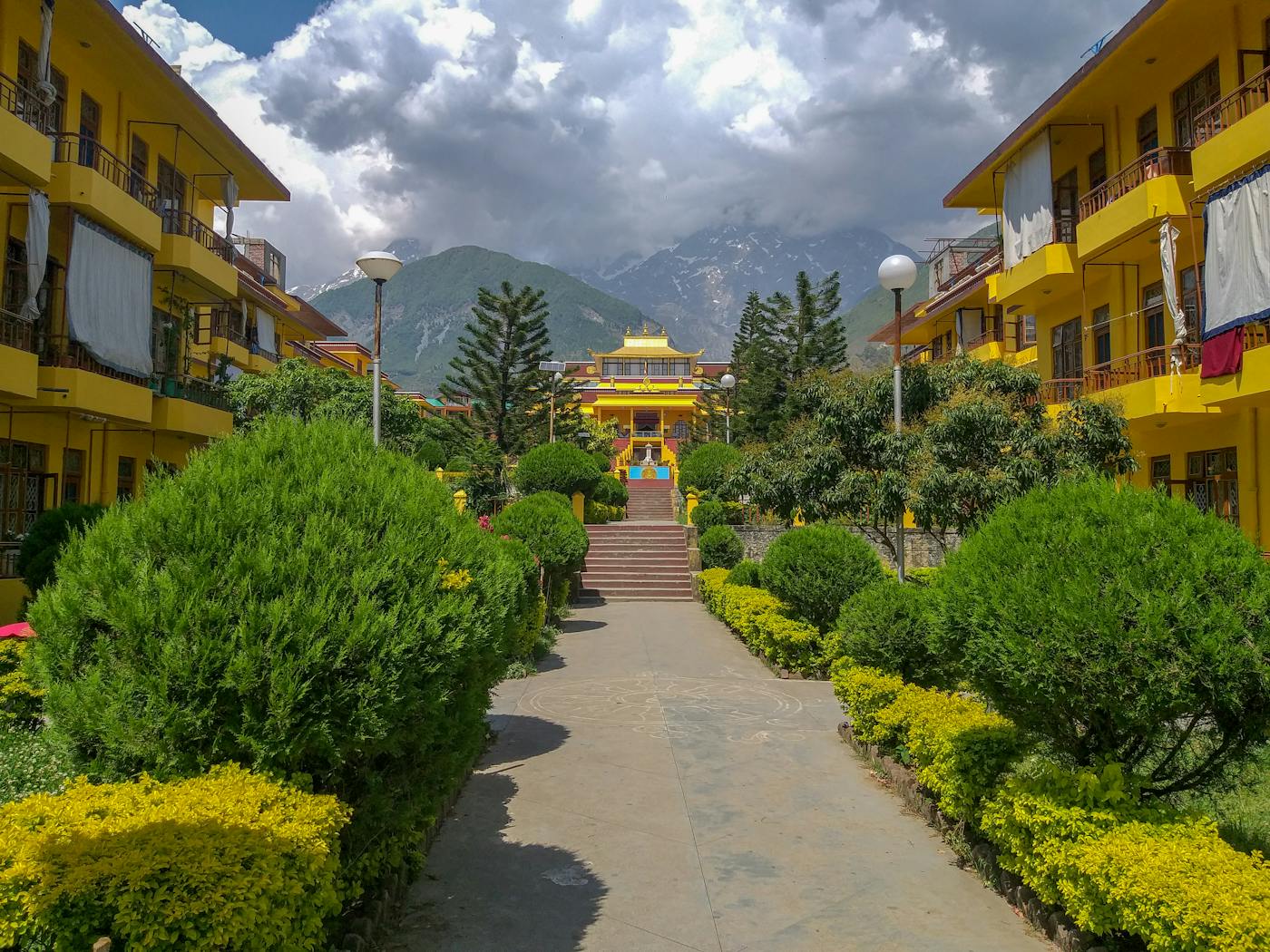 Dharamshala Dalhousie Tour Image 4